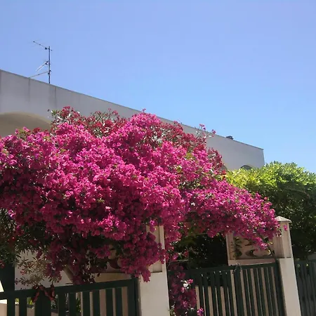House With 2 Bedrooms In Baia Verde, Gallipoli, With Furnished Terrace Apartment Gallipoli